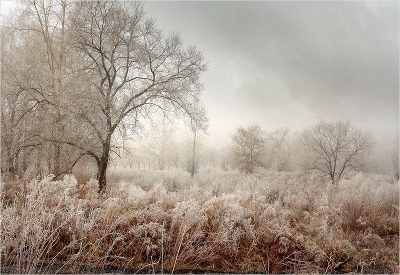 ШЕРСТЬphoto preview