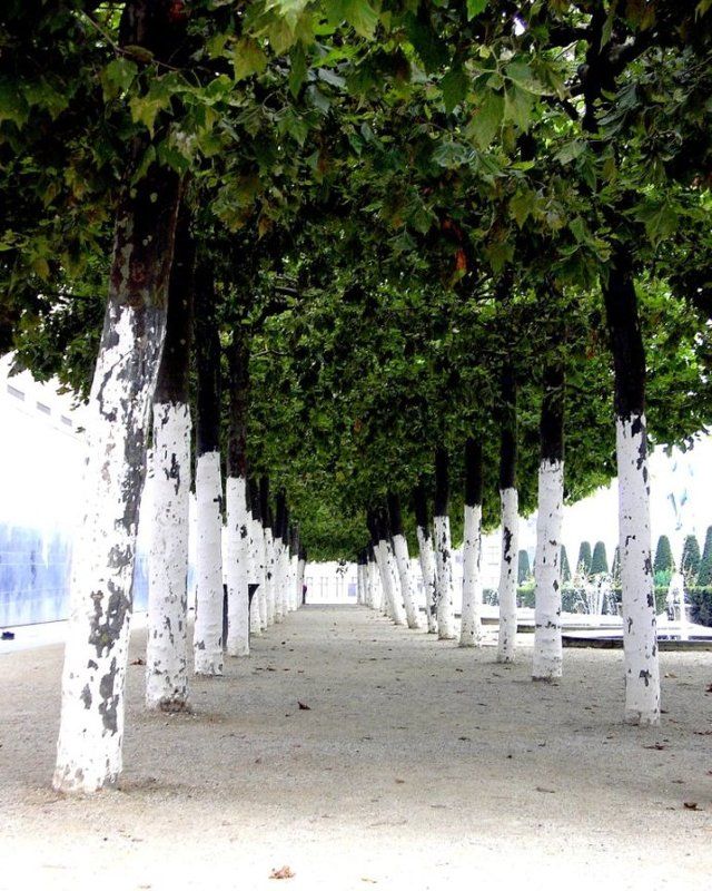 тоска...photo preview