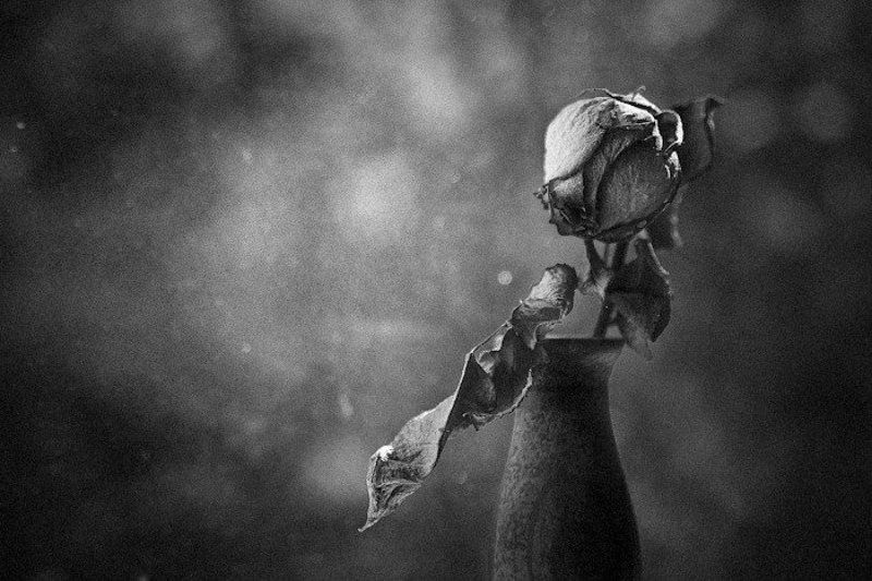 это - не натюрморт, это жанр. @-->-photo preview