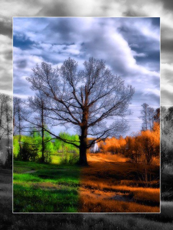 Сменаphoto preview