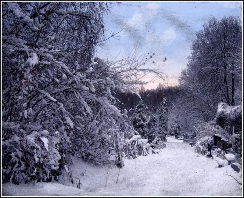 зимаphoto preview