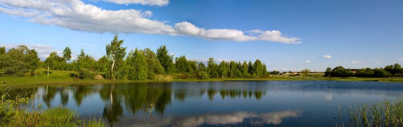 лето пруд облака У прудаphoto preview