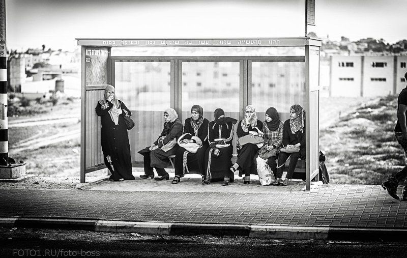 араб photo preview