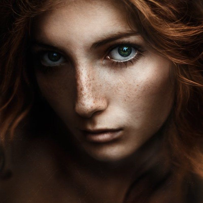 Vlada