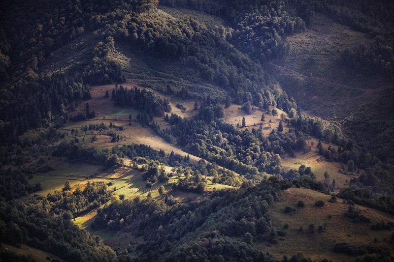 Карпаты. Середина Августа.photo preview