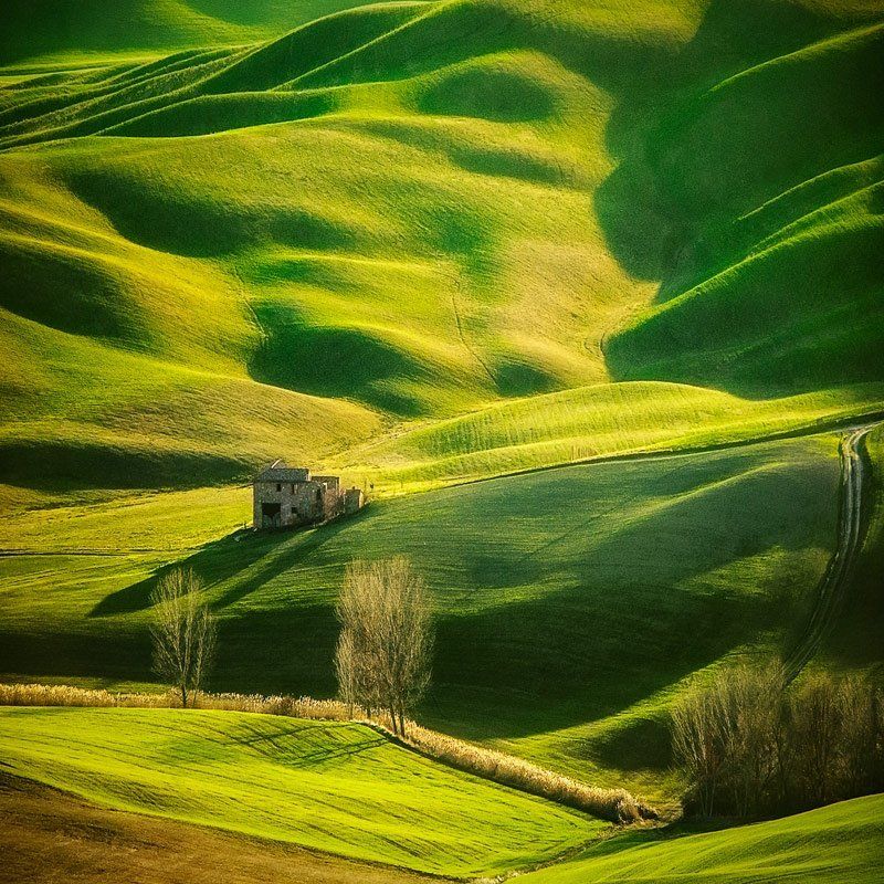 The early springphoto preview