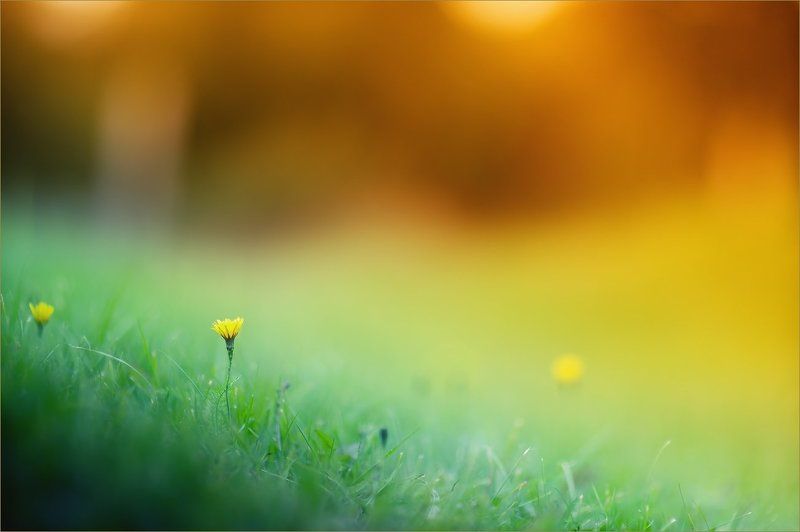 Сентябрьское вечернееphoto preview