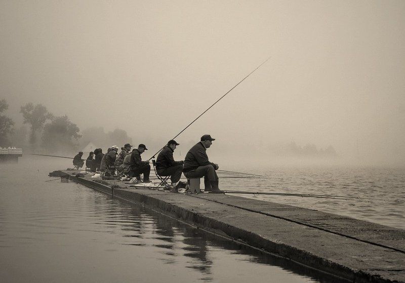 В тумане все едины...photo preview