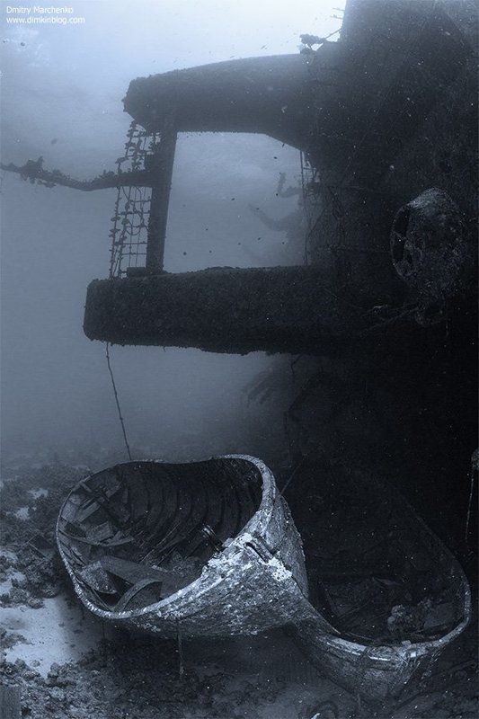 salem, salem express, салем экспресс, wreck Salem Express - Египетский титаник.photo preview