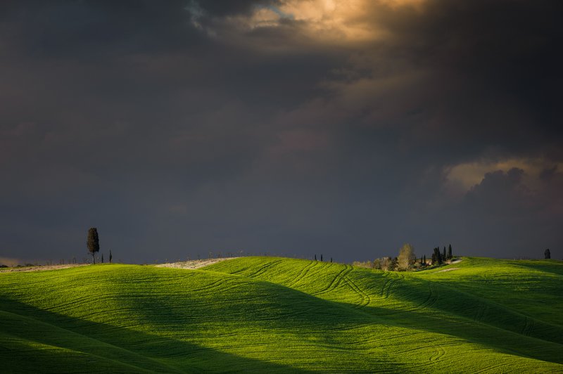 Springs Lightsphoto preview