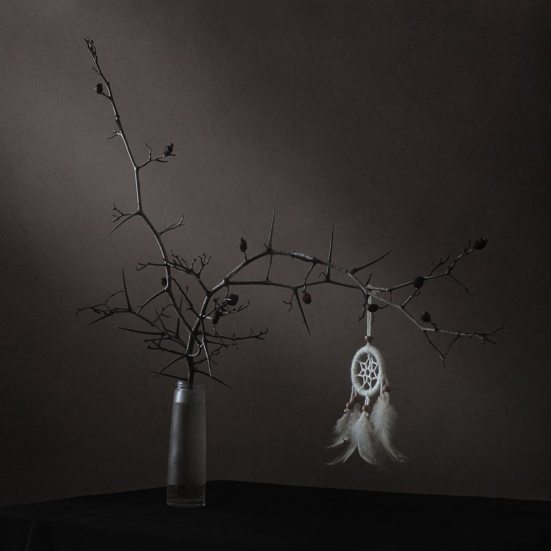 Натюрморт с ловцом сновphoto preview