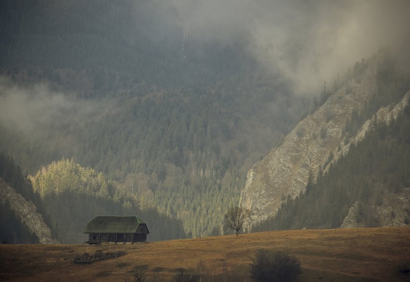 landscape beautiful autumn fog tree photography comsa bogdan   Late autumnphoto preview