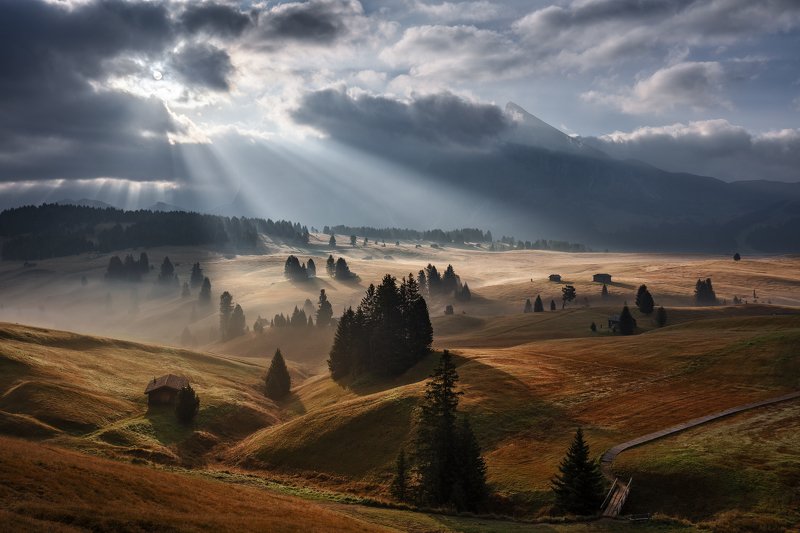 dolomites, dolomiti, mountains, alps, unesco, italy, mist, fog, clouds, sunrise, morning, light, mood, trees, meadows, huts, alpe di siusi Let There Be Light!photo preview