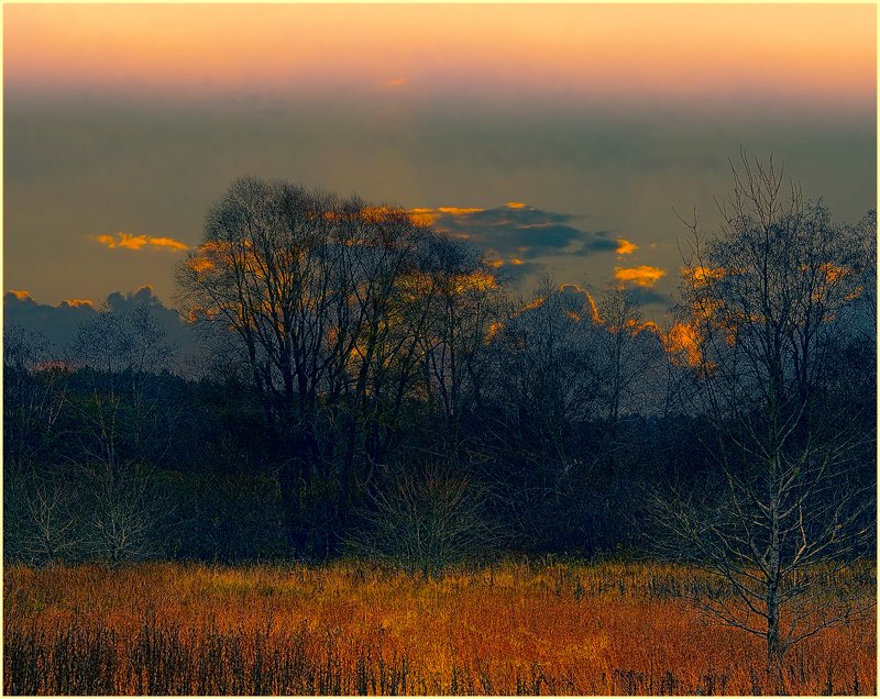 Лес у Гауи.photo preview