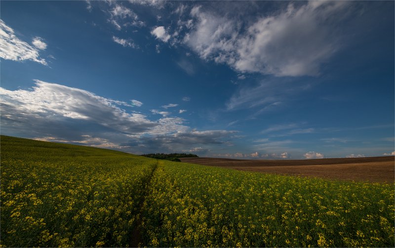 весенние грозы...photo preview