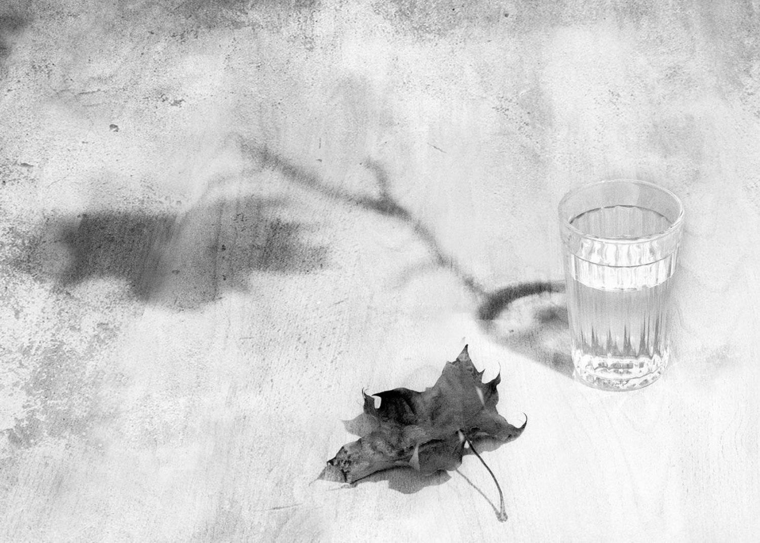 осень. Автор: Ясен Перец , Ясен Перец