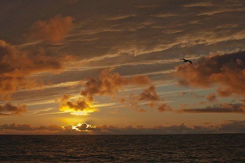 Арктический закат