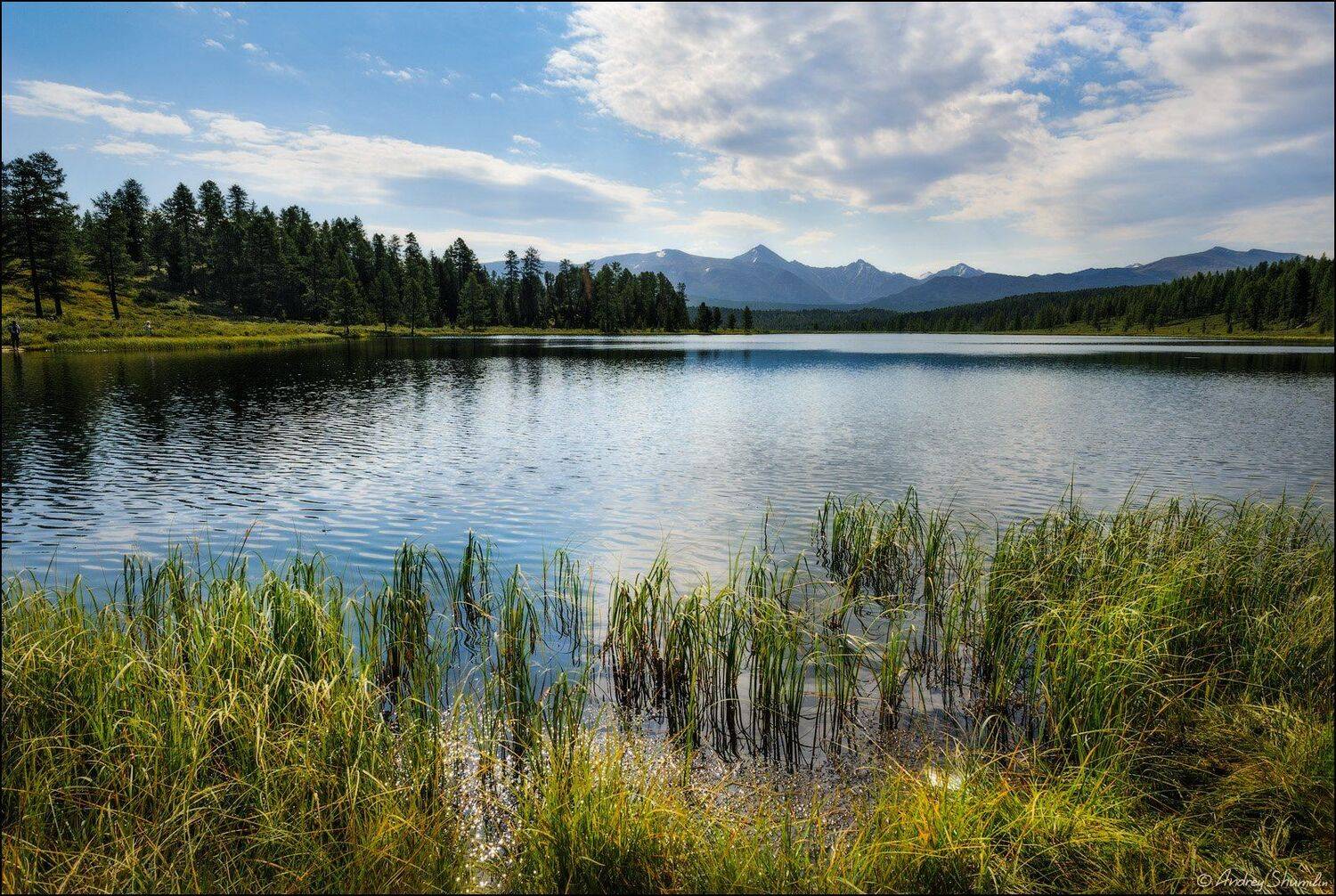 , Андрей Шумилин