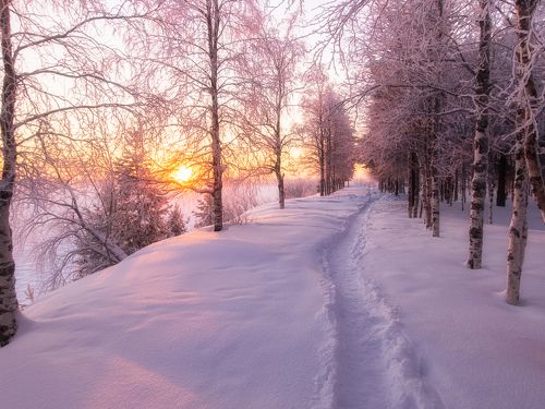 Морозное утро