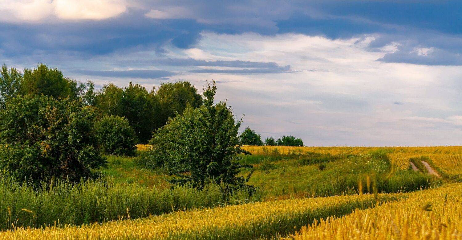 nevant60, пейзаж, красота, природа, Александр Березуцкий