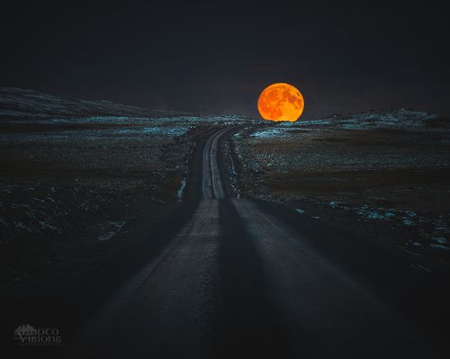 To the moon