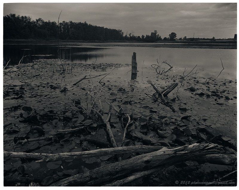 Silent Warrior...photo preview