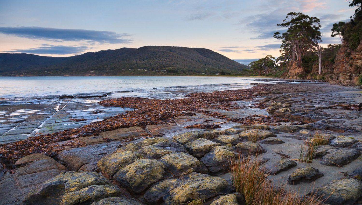 tasmana, tesselated, pavement, Inesa Hill