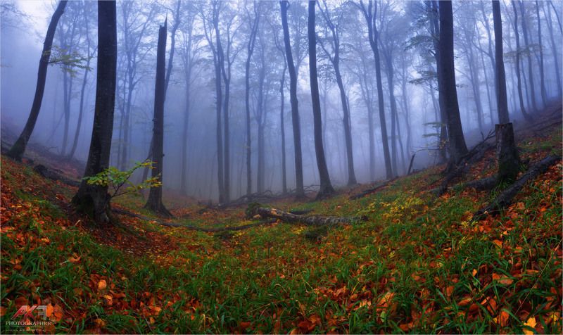 осень, кмв, пятигорск, гора, бештау Осень на Кавказеphoto preview