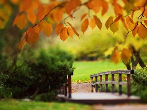 Tilted autumn.