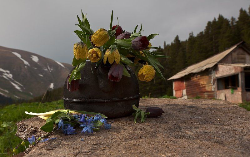 горы Утро на приютеphoto preview