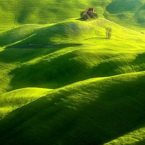 Volterra ...