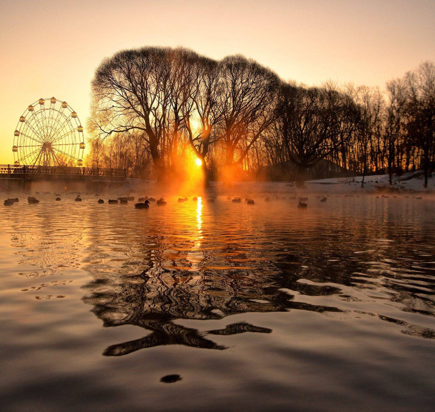 Рассвет,золото,парк,Киров,вятка, Карепанов Евгений