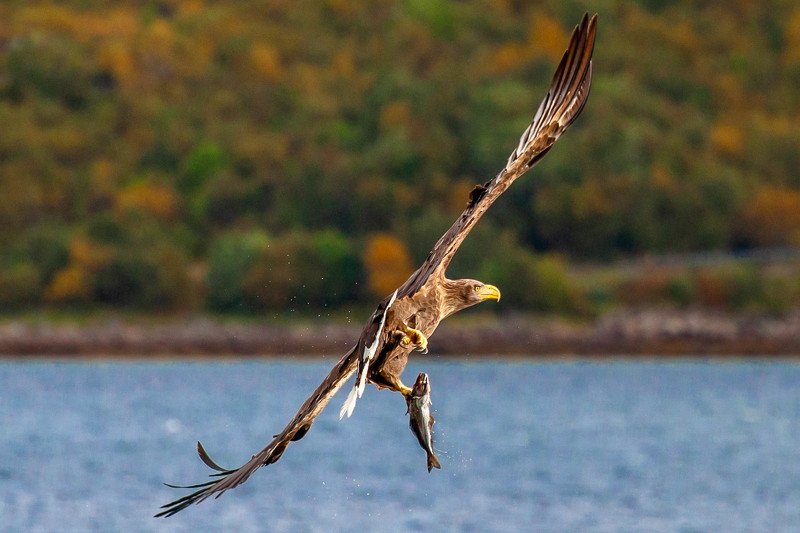 Weight takenphoto preview