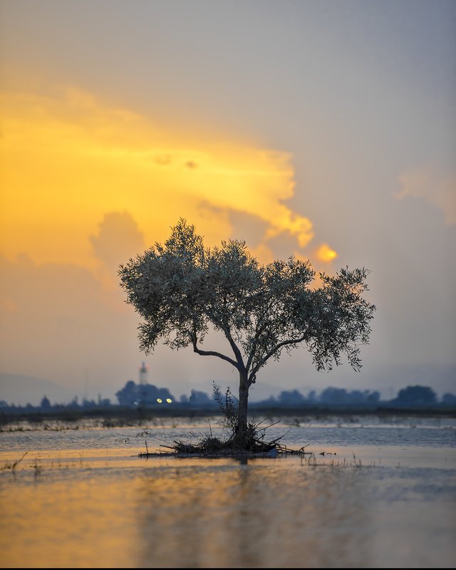 Сицилия Остров финиковphoto preview