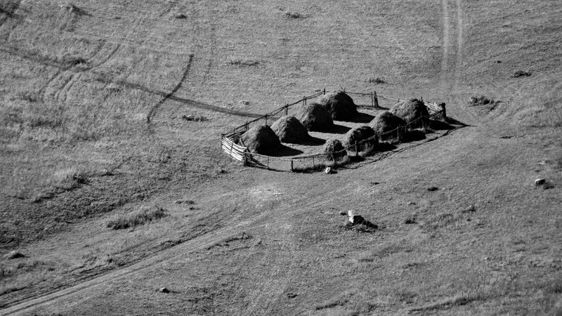 горы, алтай, горный алтай, ник васильев, красота, монохром, сено, копна, простор, высота, Алтай в монохроме.photo preview