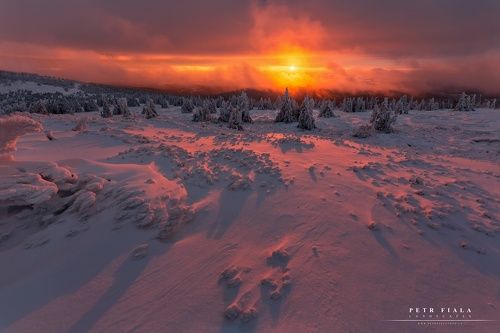 Winter colour Morning
