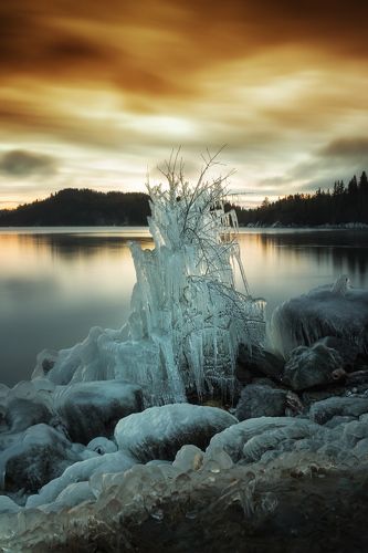 Ice sculpture