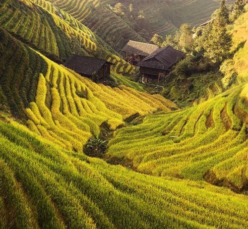 Green waves.