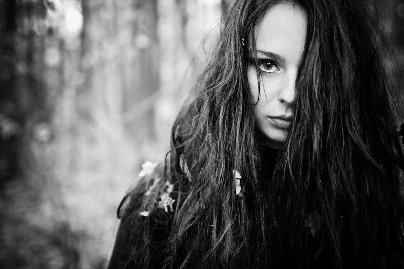 осень, лес darkphoto preview