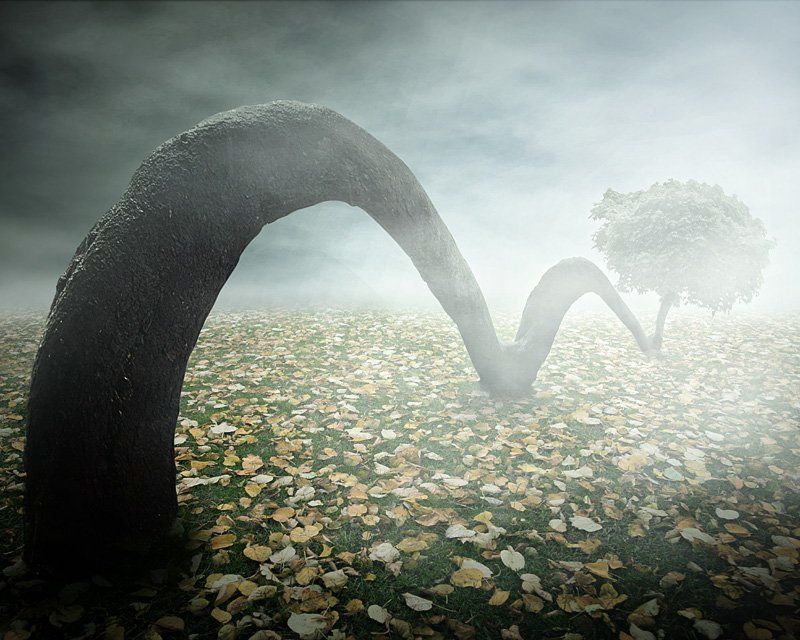 jumping treephoto preview