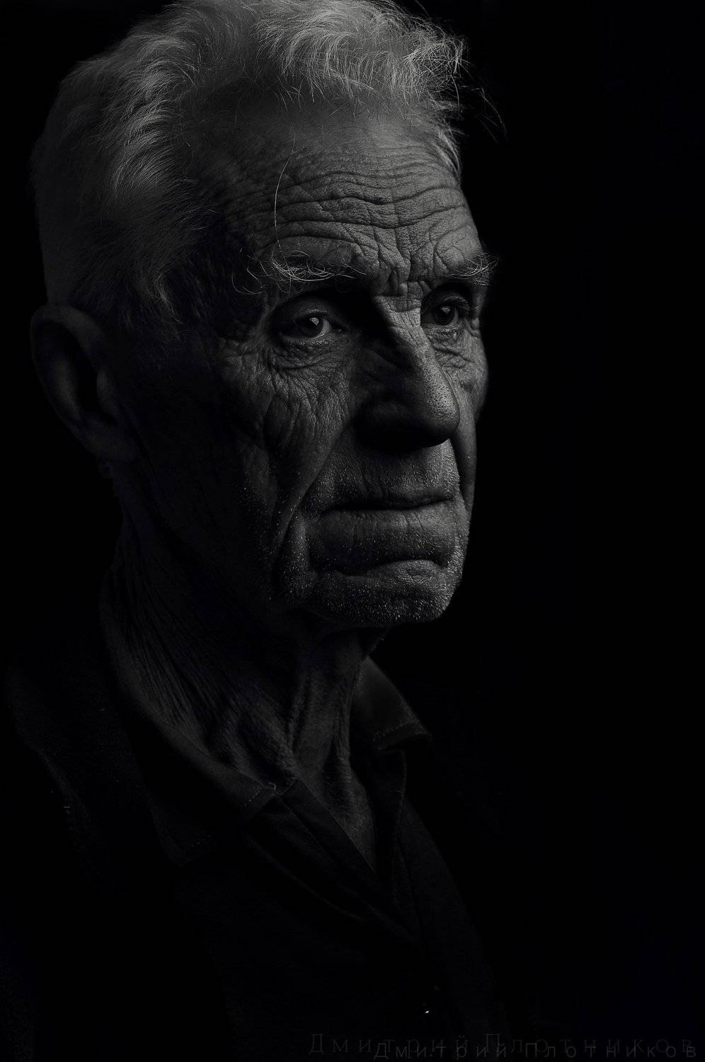 Автор: Плотников Дмитрий , Плотников Дмитрий