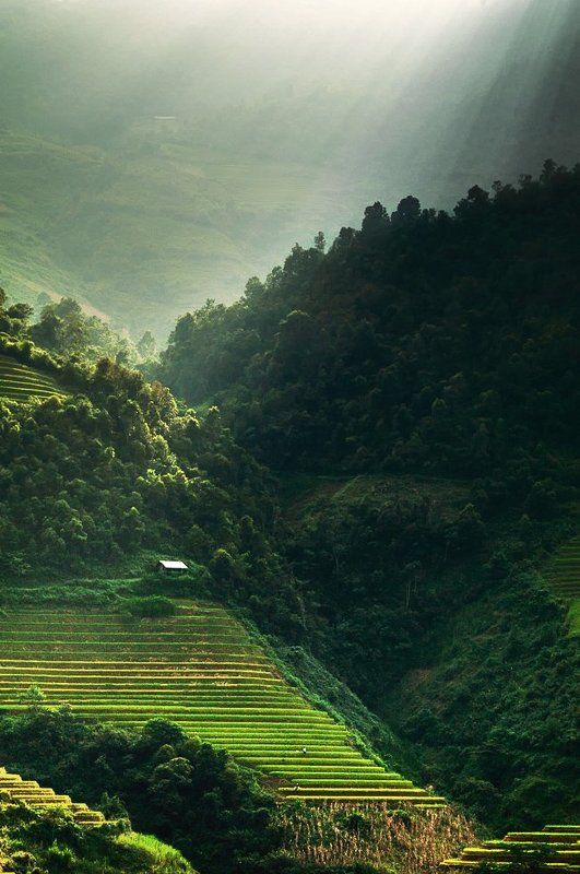 hai, вьетнам Homephoto preview