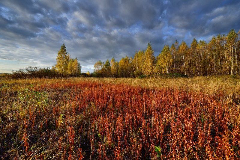 вашутино ***photo preview