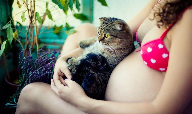 в ожиданииphoto preview