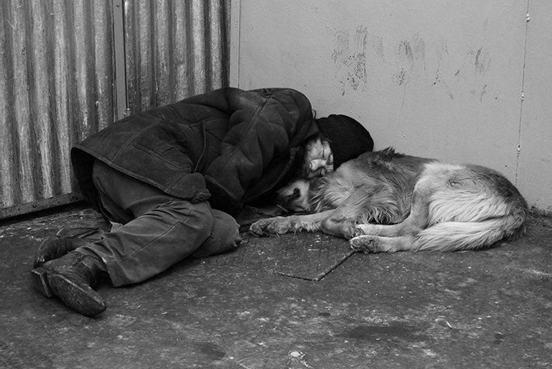 Друзья...photo preview