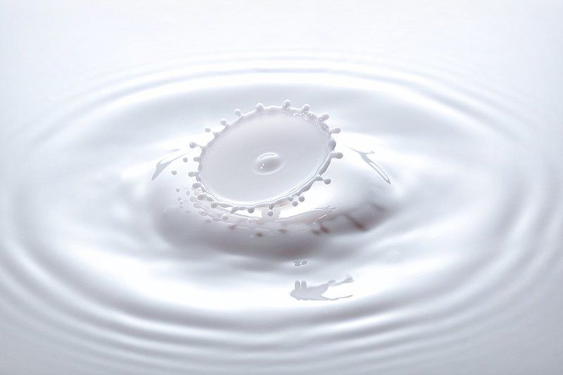 Milk Umbrellaphoto preview