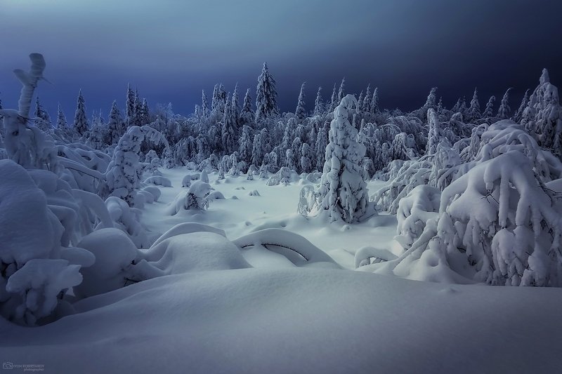 Сказочная тайгаphoto preview