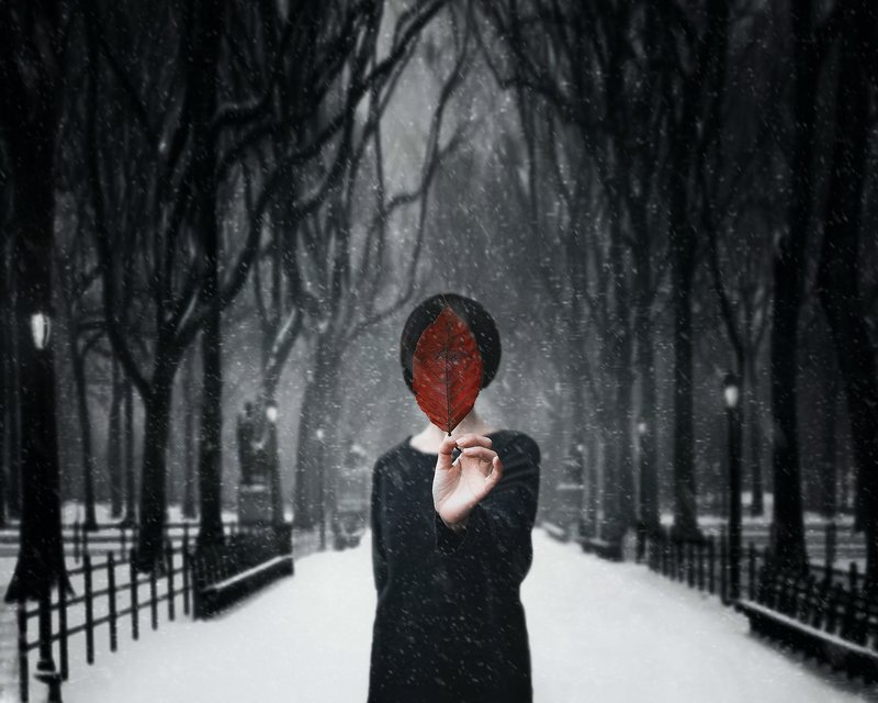 conceptual photography, conceptual, conceptualism peekaboophoto preview