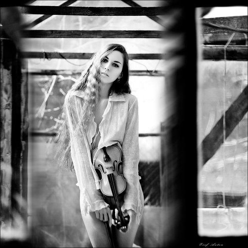 violin