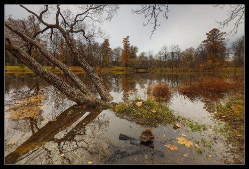 про глубокоОсенний Александровский Парк...